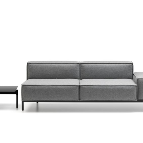 DE SEDE Sofaprogramm DS-21