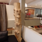 SCHOLTISSEK Baum Rumpf Pappel